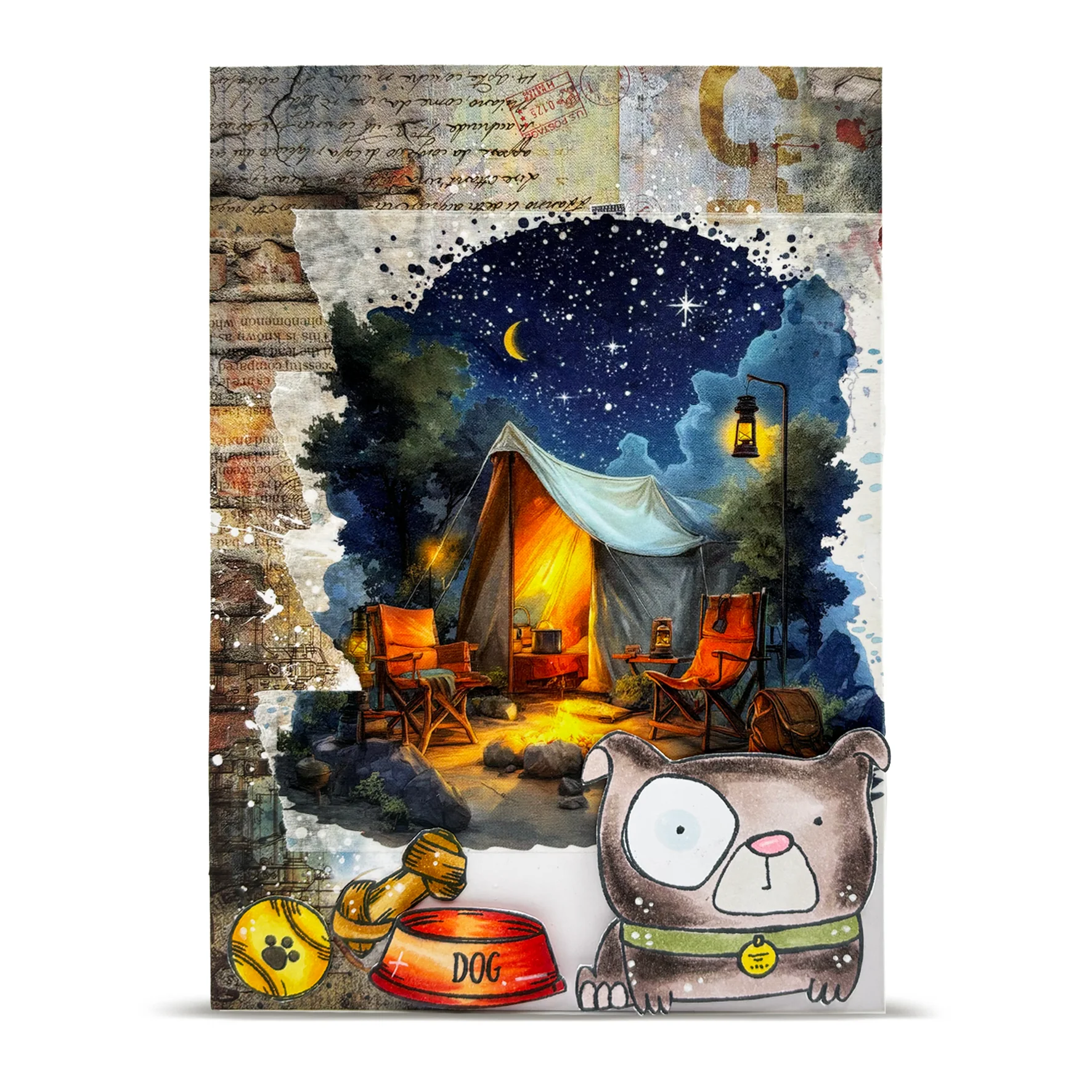Thumbnail 61